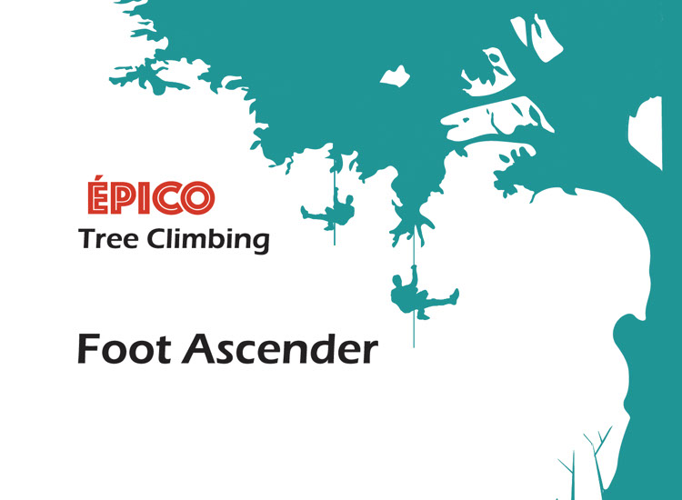 EPICO Ascender上升帶